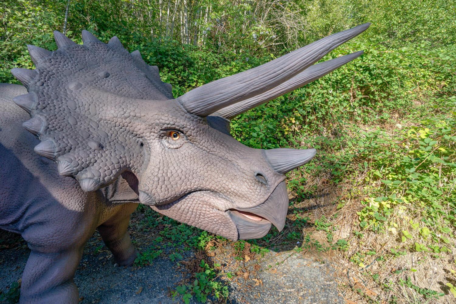 Jurassic Rebirth Out On Jul 2 - Book Your Stay Now (Adults Only) Washougal Zewnętrze zdjęcie