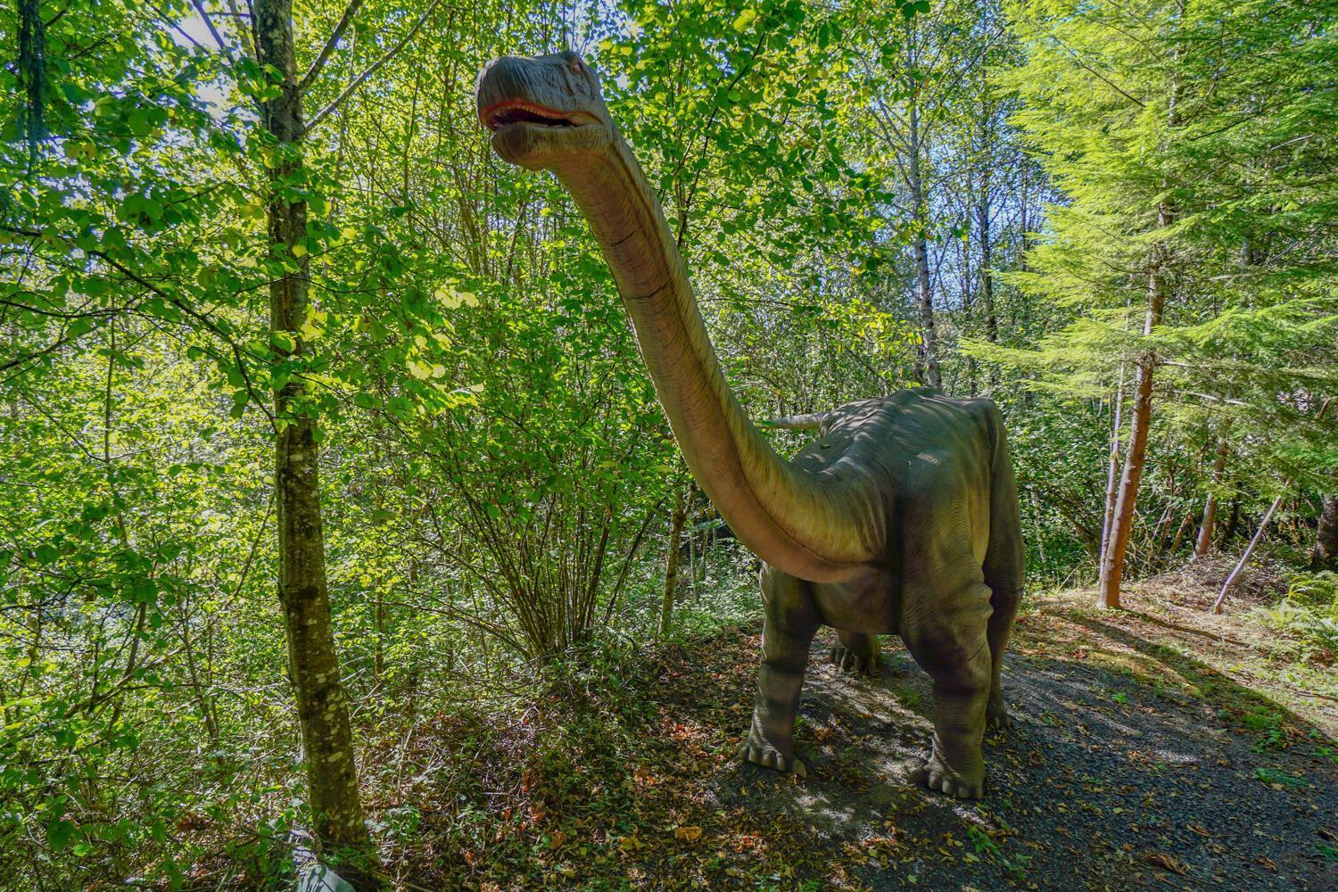 Jurassic Rebirth Out On Jul 2 - Book Your Stay Now (Adults Only) Washougal Zewnętrze zdjęcie