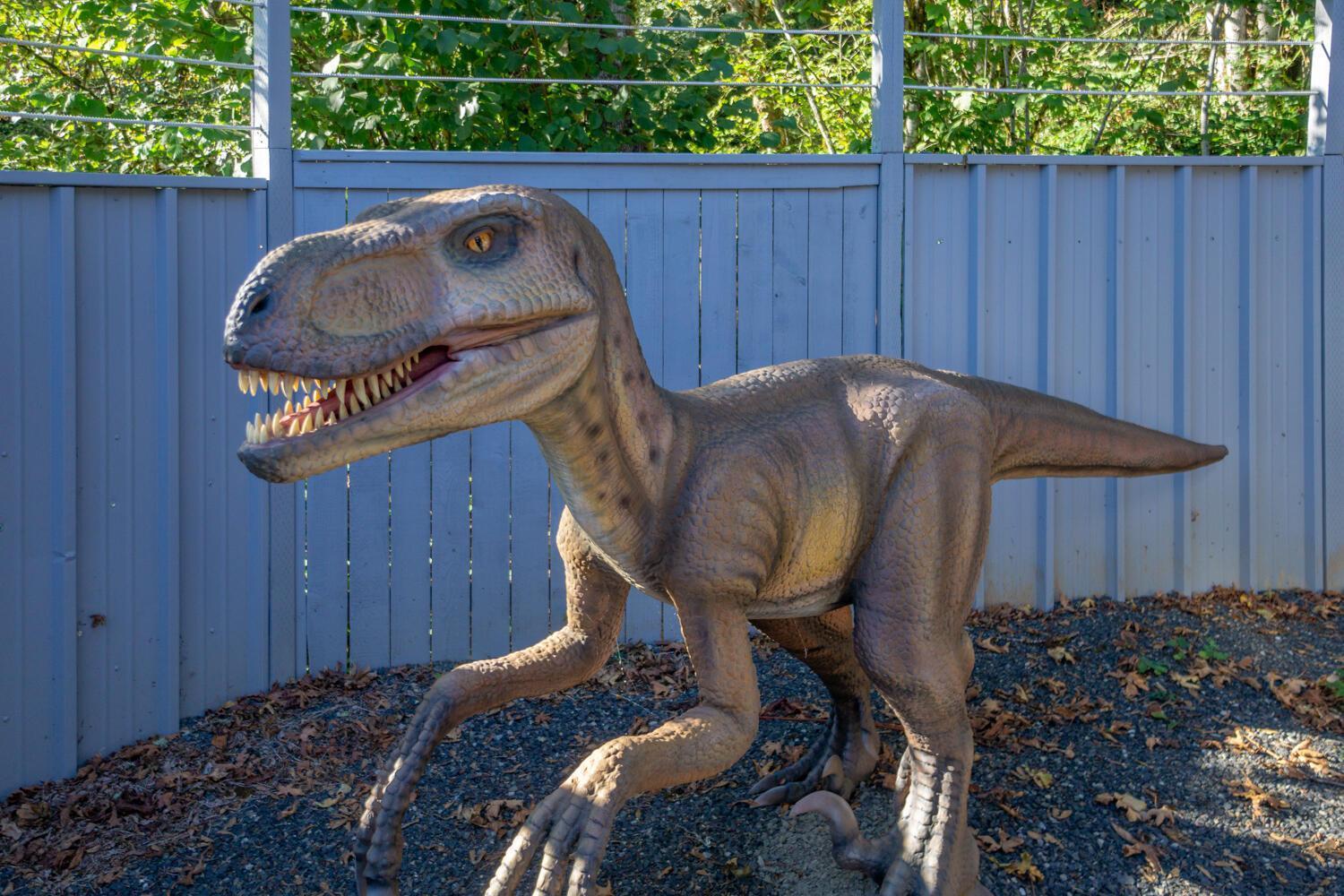 Jurassic Rebirth Out On Jul 2 - Book Your Stay Now (Adults Only) Washougal Zewnętrze zdjęcie